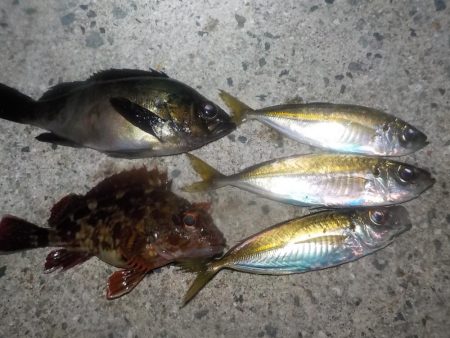 やっぱり　難しいです。