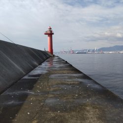 大サバ狙いで大サバと尺鯵！