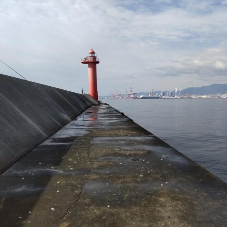 大サバ狙いで大サバと尺鯵！