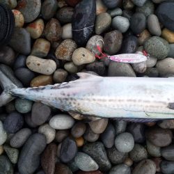 ショアジギング