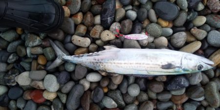 ショアジギング