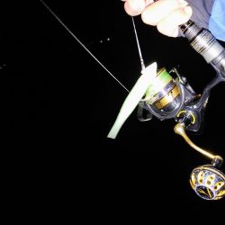 太刀魚ワインド