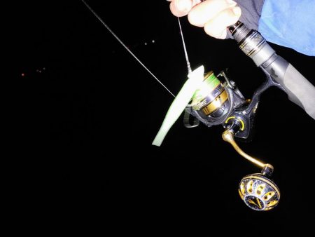 太刀魚ワインド