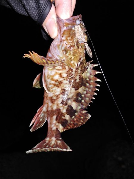 フロートリグとジグ単