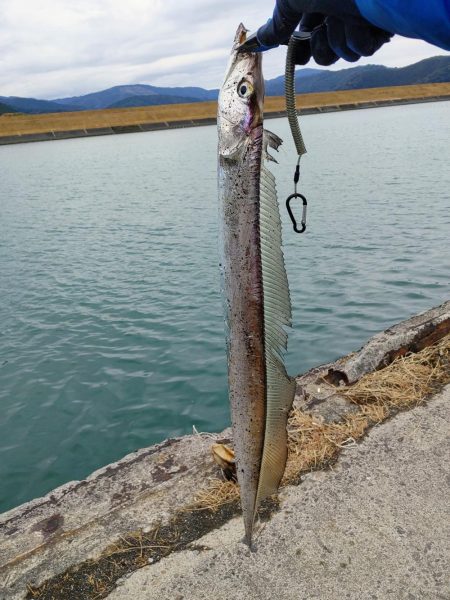 太刀魚釣り