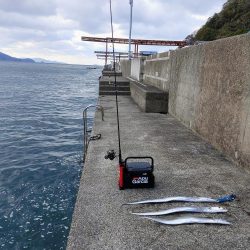 太刀魚ワインド