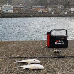 ズル引きチニング