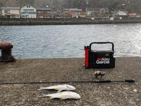 ズル引きチニング