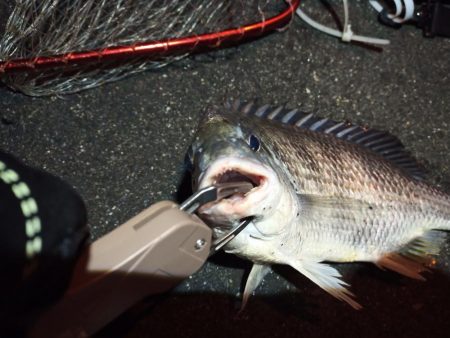 2023/01/09 南港ヘチ釣り釣行