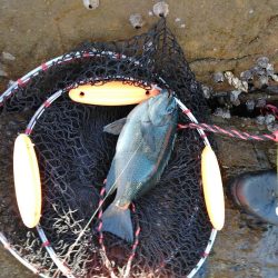 フカセ‥最高ですネ・・