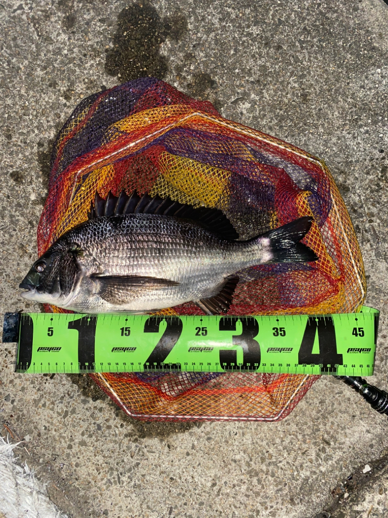 ヘチってきました