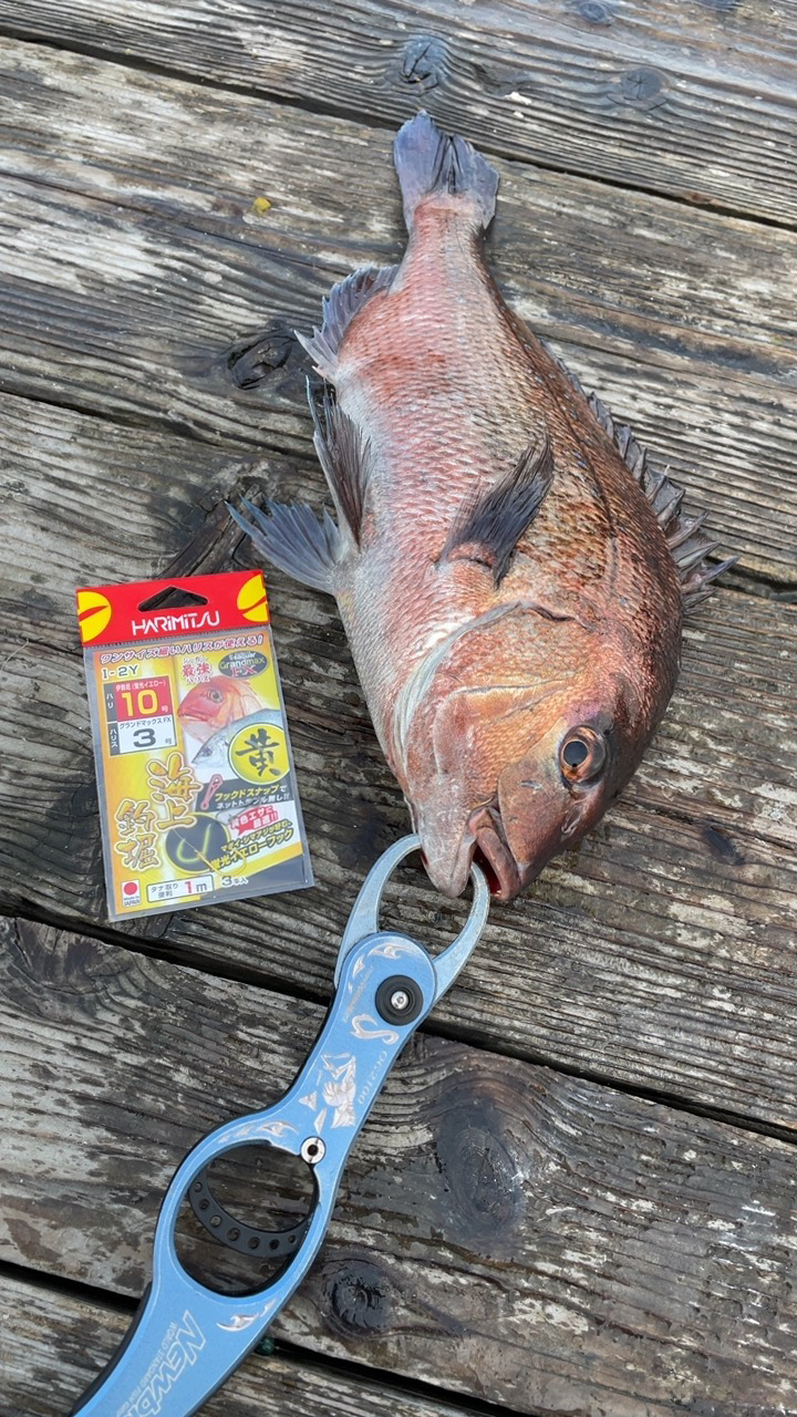 釣堀初めは渋めでした(^◇^;)