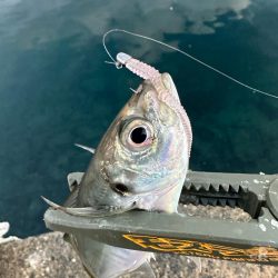 正月休み最後に