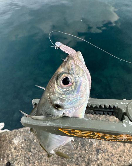 正月休み最後に