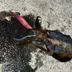 ついにキロアップ！