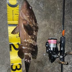 アジングしてると…