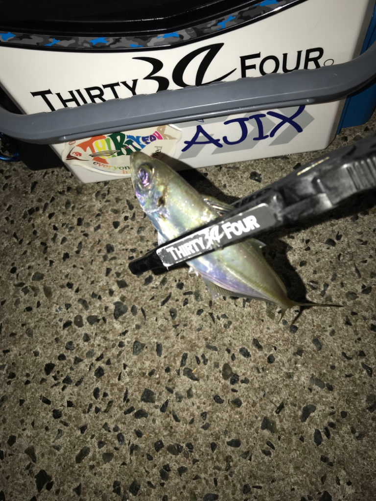 山陰西部アジング🎣