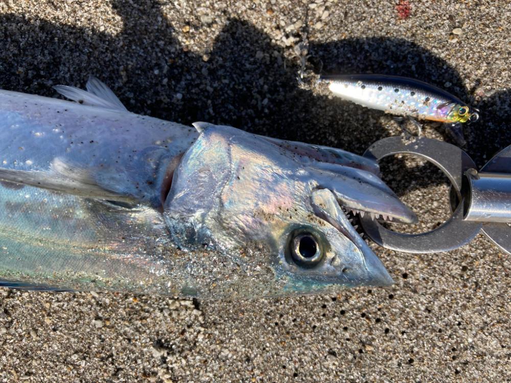 新春初釣り