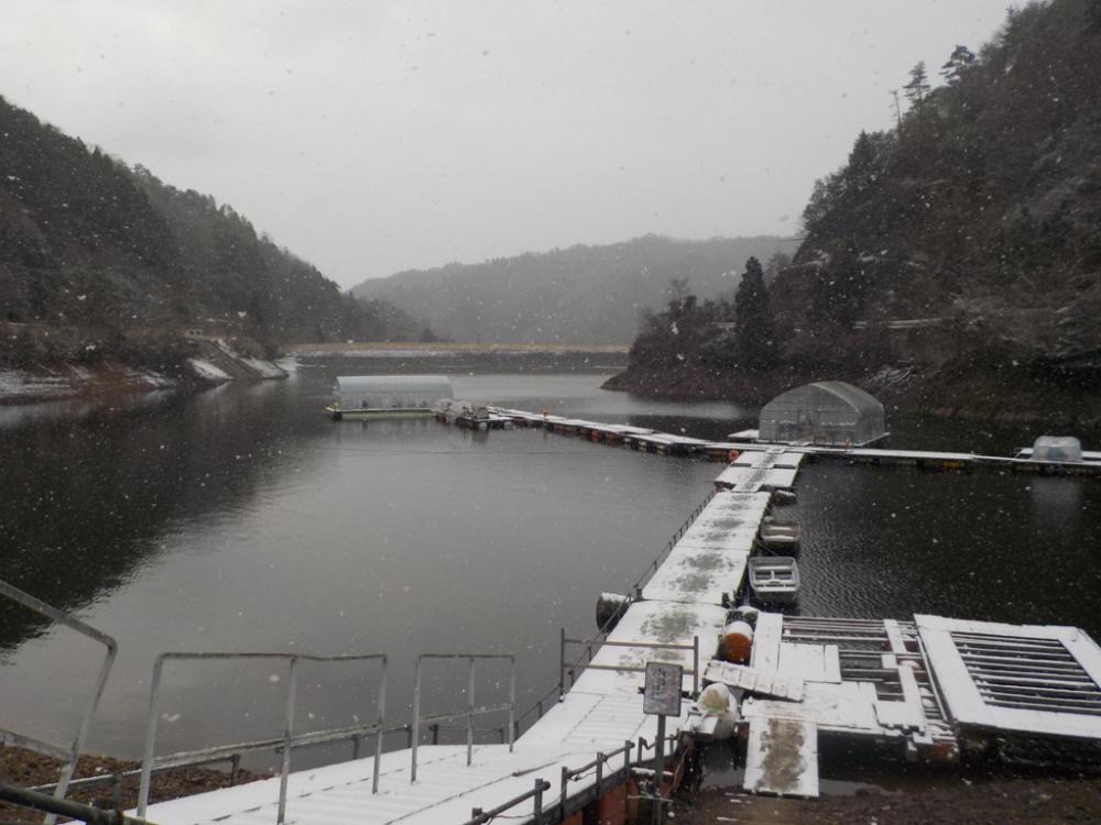 ワカサギ第7戦ー今日も佐仲ダムー