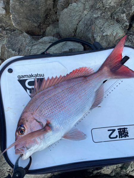 横島3番クロ釣り❗️