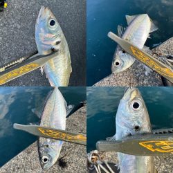 久々のスプリットリグ