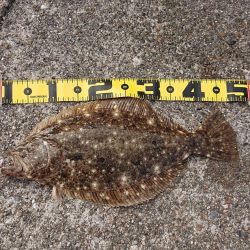 年末年始の釣行記