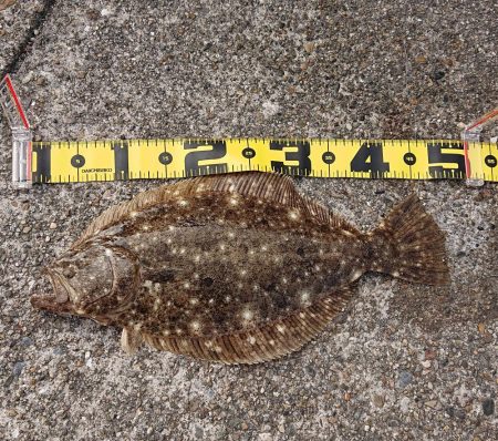 年末年始の釣行記