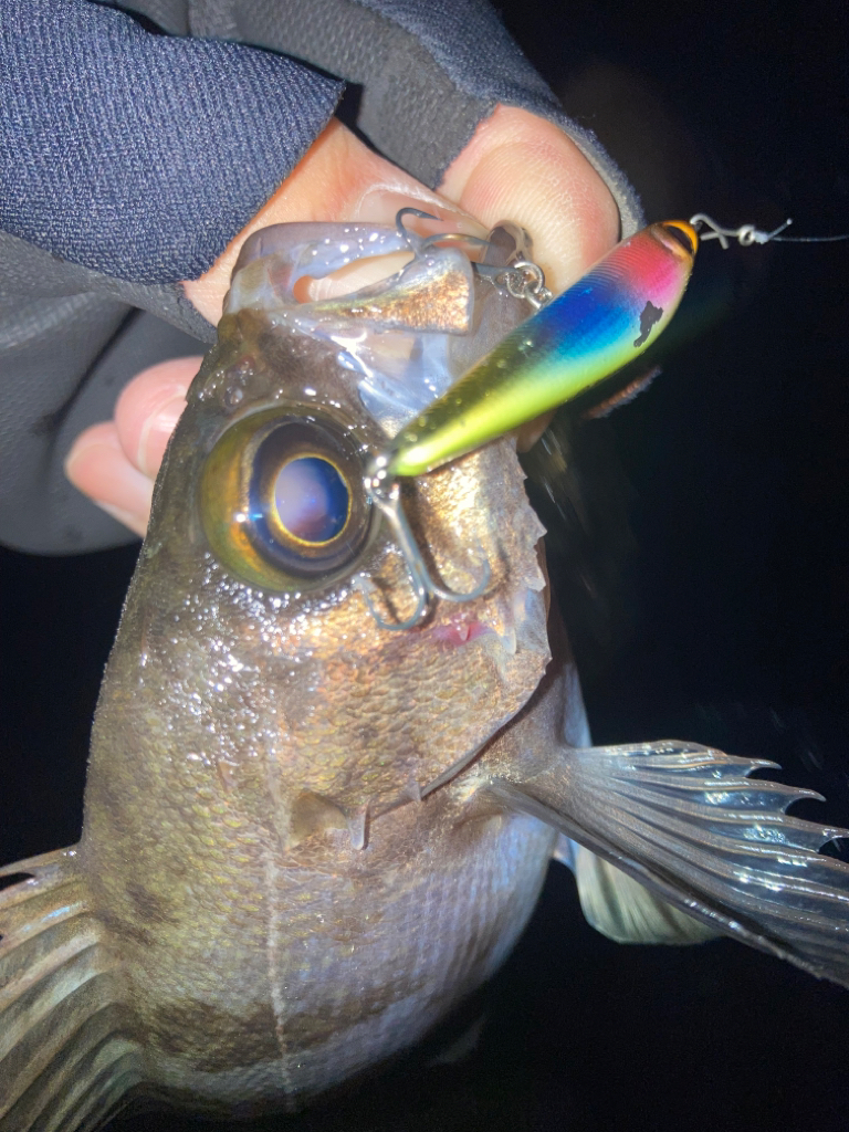 2023ライトゲーム第2戦