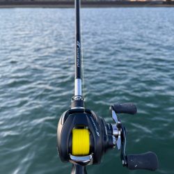 武庫川チニング其のニ