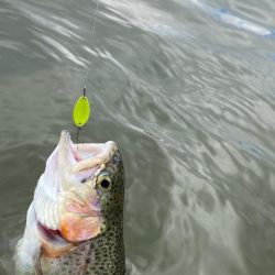 エリア初釣り　かめプー