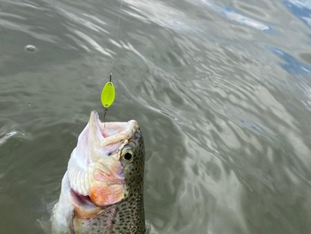 エリア初釣り　かめプー