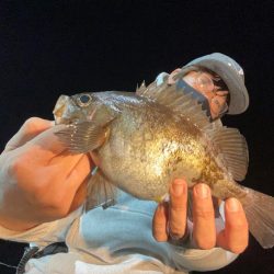 小島養魚場さんにてナイトゲーム！