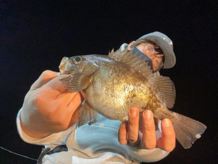 小島養魚場さんにてナイトゲーム！