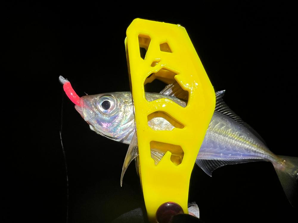 鯵を探して三千里Vel.24