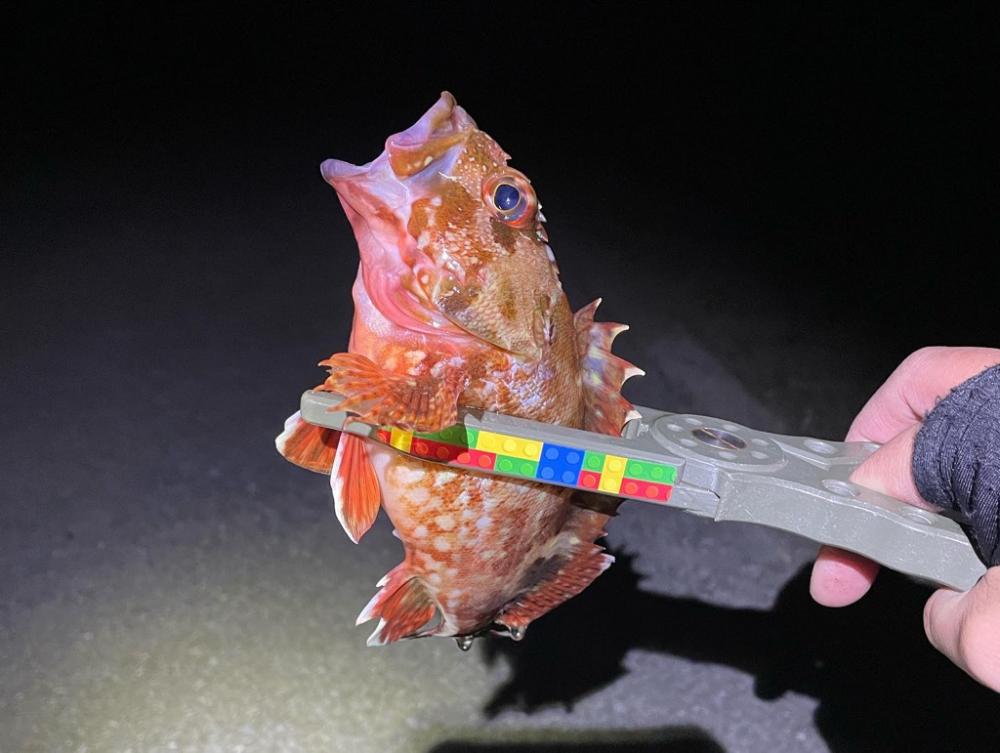 バースデーフィッシング