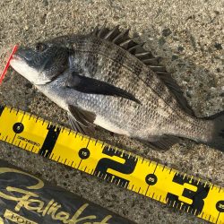 日が上がるとともに釣りスタート