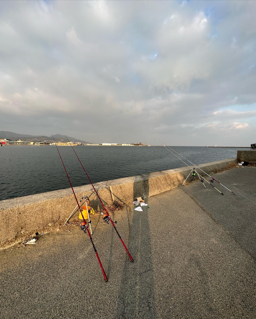 初釣り、淡路島 志筑、津名港