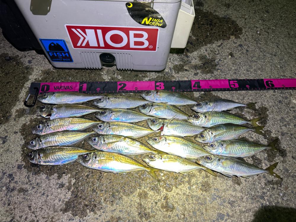 年越しフィッシング