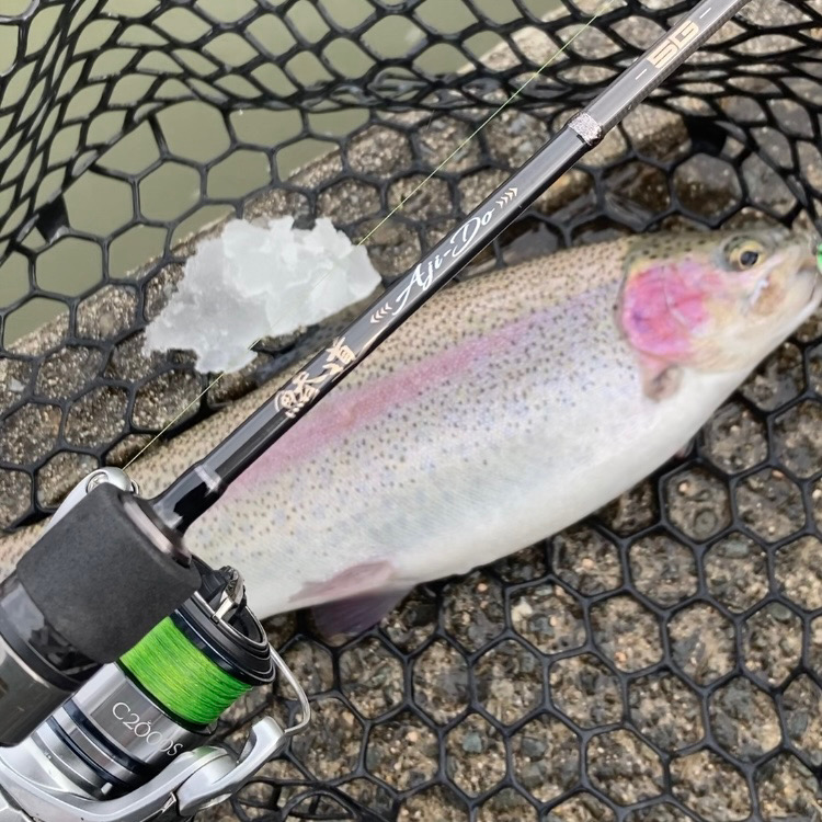 庄原で極寒トラウト