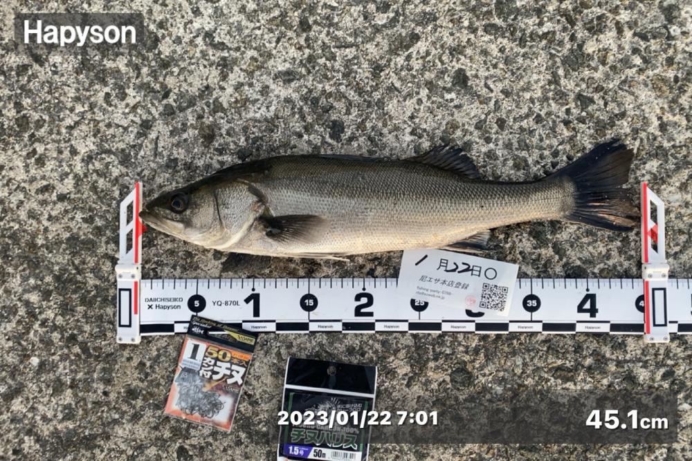 急に水温が下がり