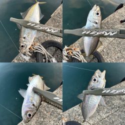 スプリット楽しい〜