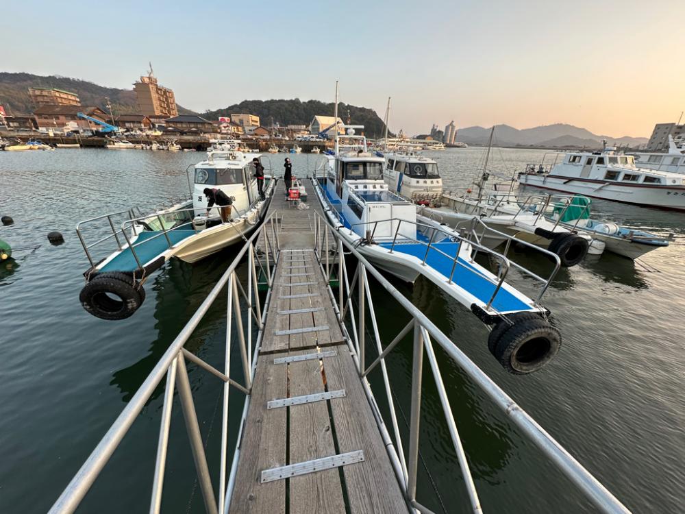 メバリング釣行