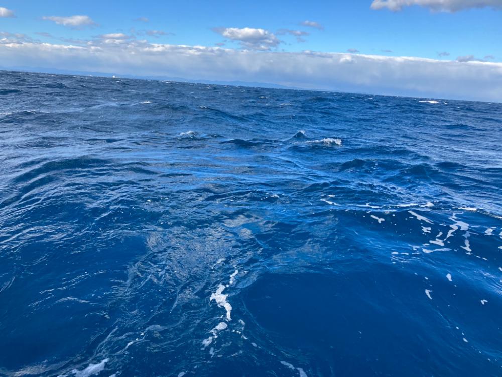 トンジギ釣り始め