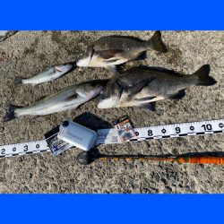 時折、風が右左吹き