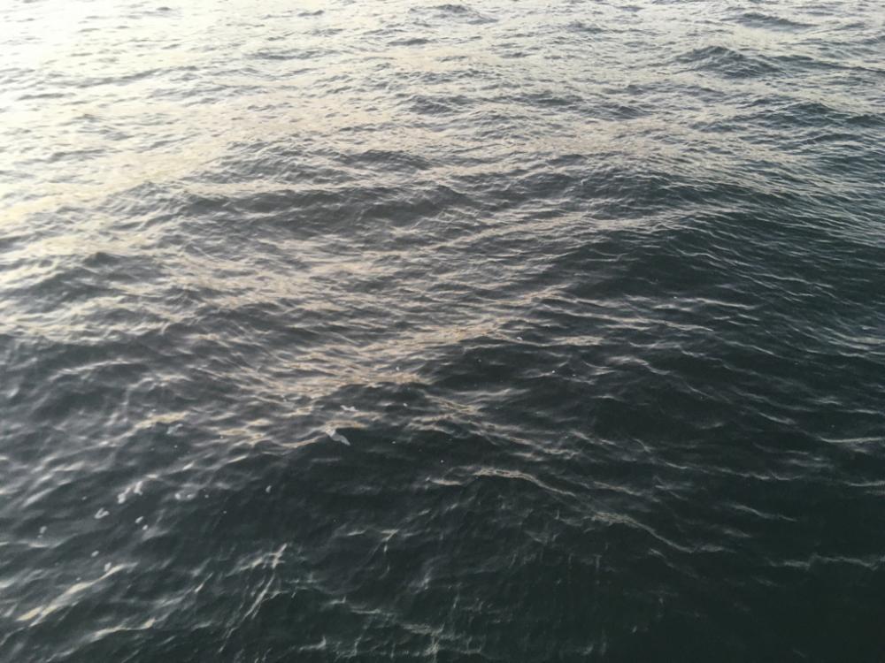 釣り始めは新春メバル