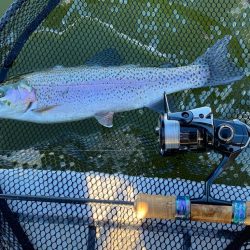 エリアトラウト　かめプー