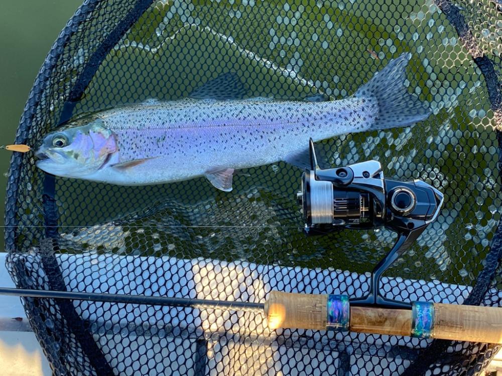 エリアトラウト　かめプー