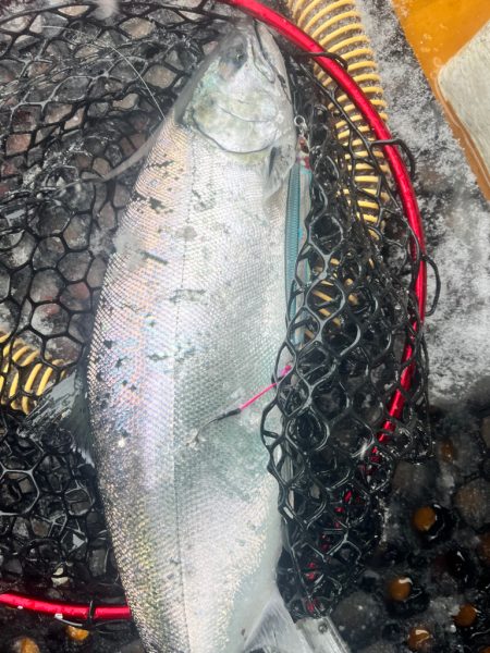 オフショアジギングin羅臼