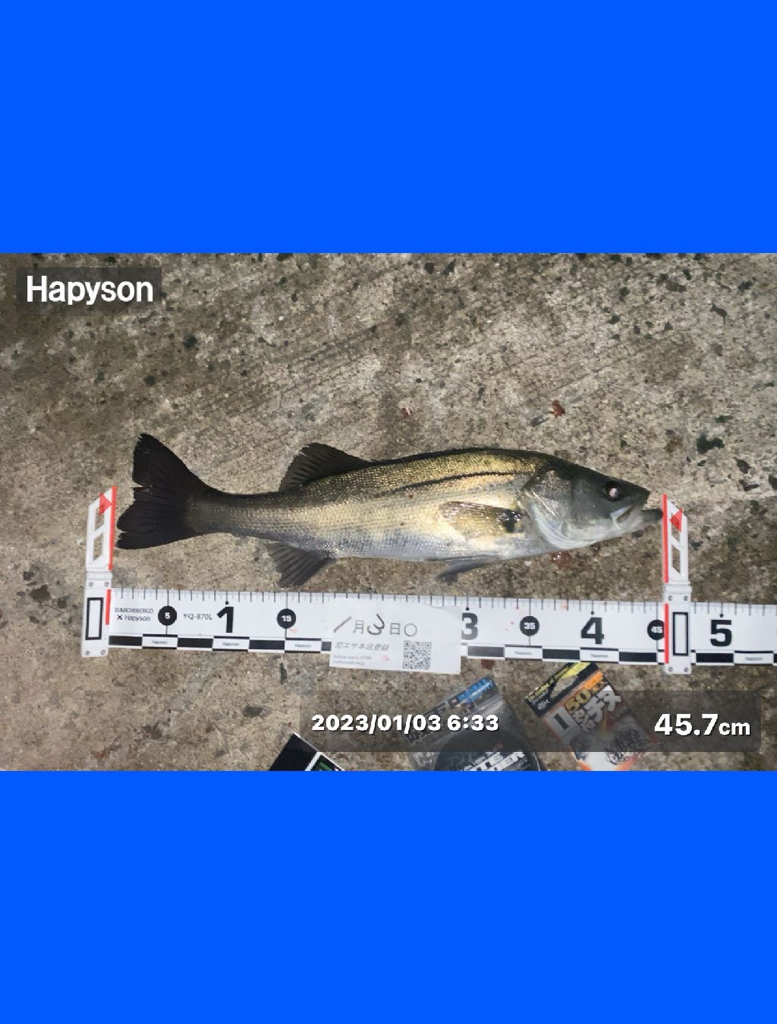 満潮前の時間帯