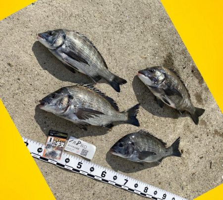 いつもより少し遅く釣りスタート